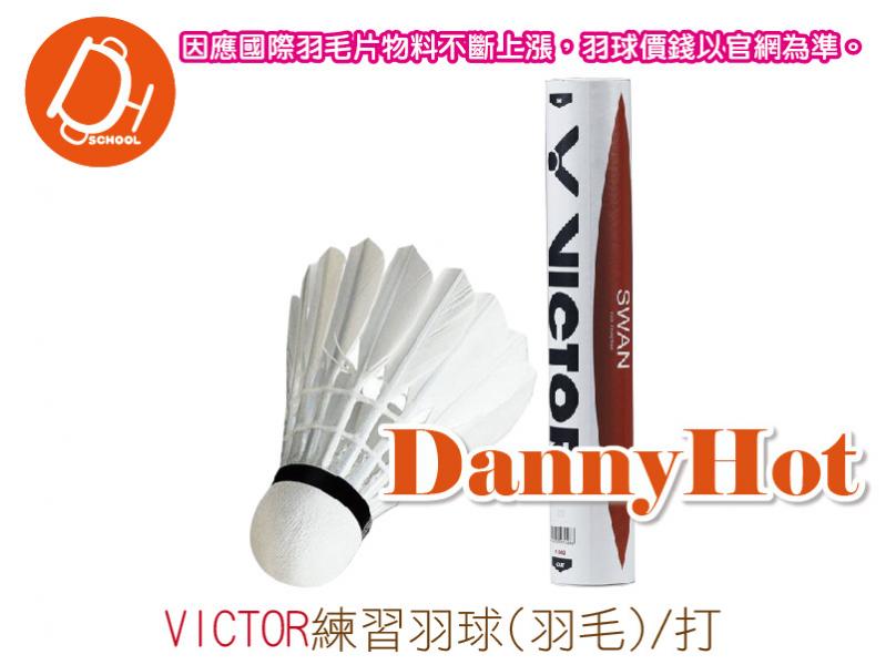 VICTOR練習羽球-羽毛